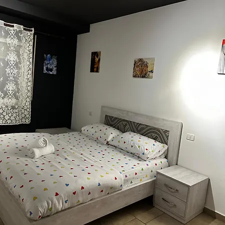 Tirana City Inn 地拉那